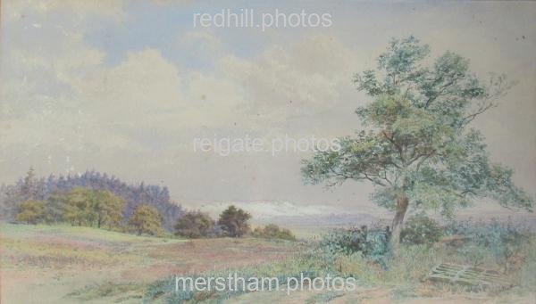 Image number 3173&prevurl=miscart