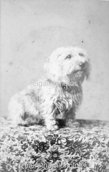 Image number 6193&prevurl=jberryman