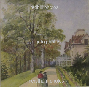 Image number 3168