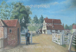Image number 3172