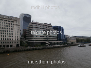 Image number 8181